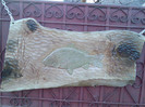 Imag003