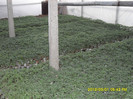 SDC12094