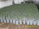 SDC12092
