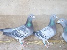 Photo0102