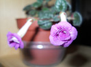 DSCN7486