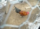 DSCN5699