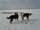 20120229_143812