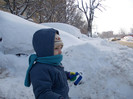 DSCN0331