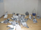 DSCF8342