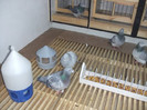 DSCF8369