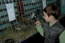03 martie  2012 expo pasari (2)