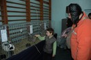 03 martie  2012 expo pasari (1)