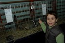 03 martie  2012 expo pasari (4)
