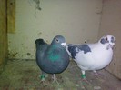 Imag1025