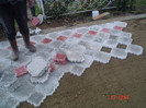 DSC02647
