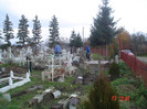 DSC02655