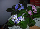 P1000101