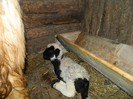 Picture 017