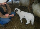 Picture 040