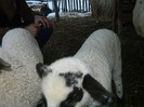 Picture 047