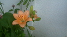 IMGA0247