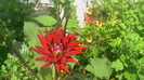 IMGA0296