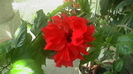 IMGA0297