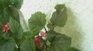 IMGA0301