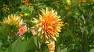 IMGA0304