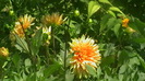 IMGA0305