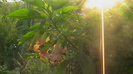 IMGA0001