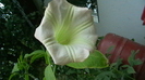 IMGA0939