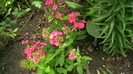 IMGA0392