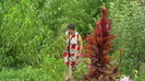 IMGA0406