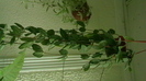 IMGA0446