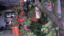 IMGA0931