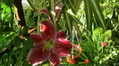 IMGA0933