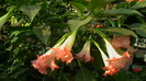 IMGA0998