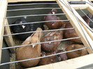 P3040067