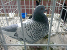 260220122159