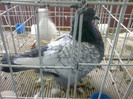 260220122160