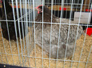 DSC09717
