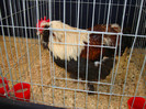 DSC09725