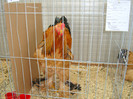 DSC09737