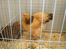 DSC09749