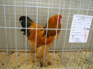 DSC09751