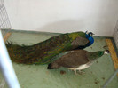 DSC09753
