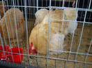 DSC09791