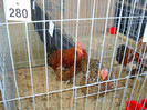 DSC09805