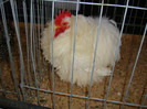 DSC09831