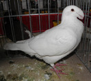 Picture 024