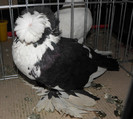 Picture 037