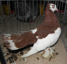 Picture 040