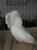 Picture 045